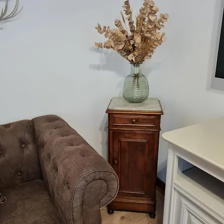 Daire Le Lioran By Les Monts Du Cantal *