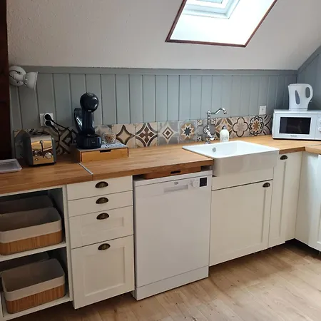 Daire Le Lioran By Les Monts Du Cantal *